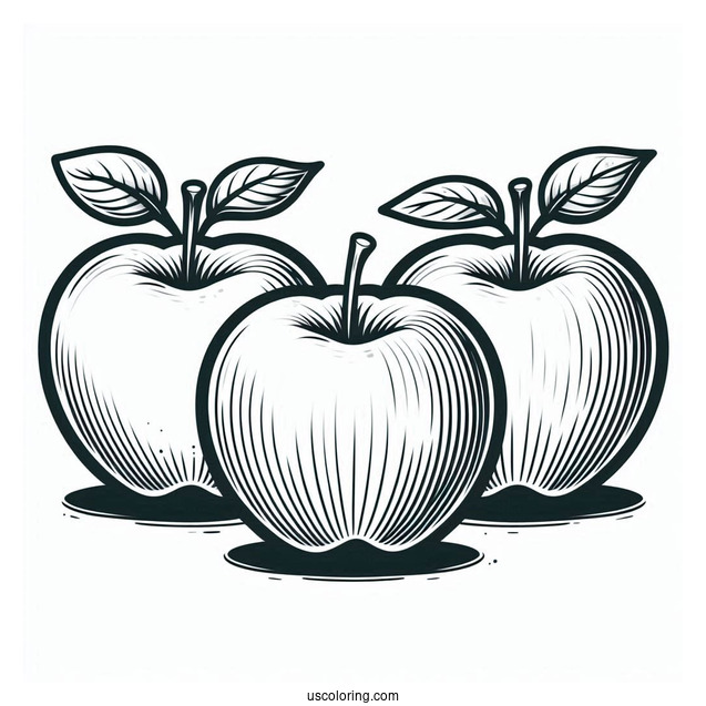 Three Apple Outline Template And Coloring