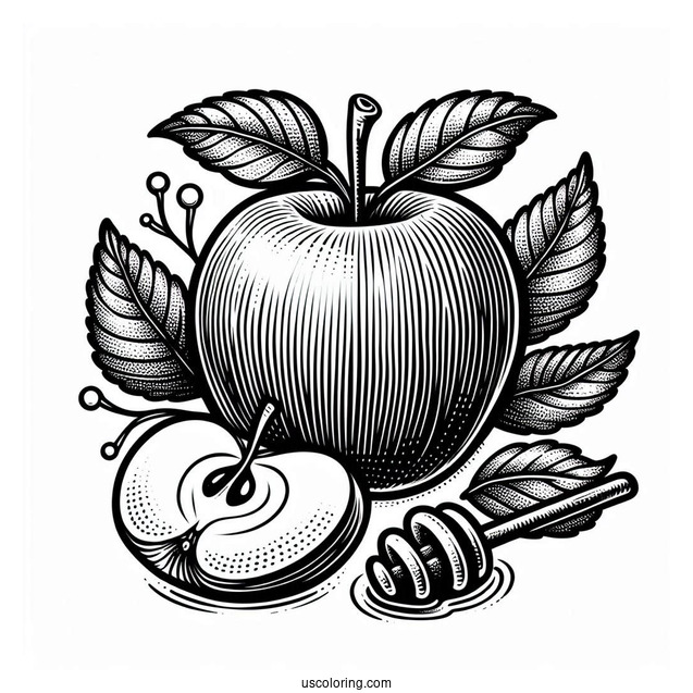 Delicious Honey Crisp Apple Coloring Page