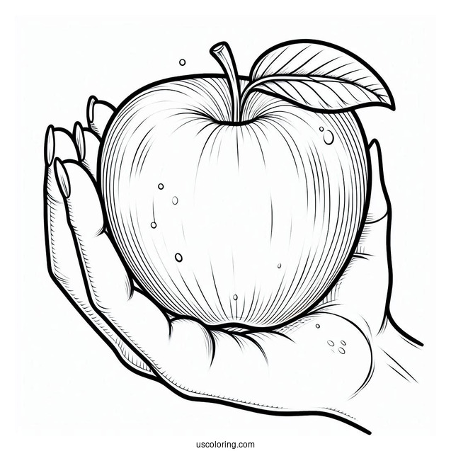 Hands Holding Mcintosh Apple Coloring Sheet