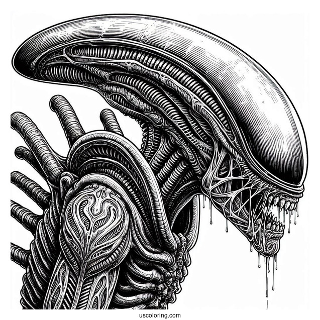 Xenomorph Alien From Ridley Scott Movie For Adults