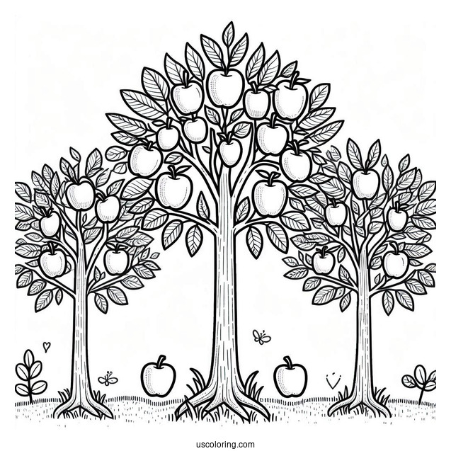 Outline Of Apple Trees For Kids
