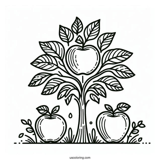 Outline Of Apple Trees For Kids