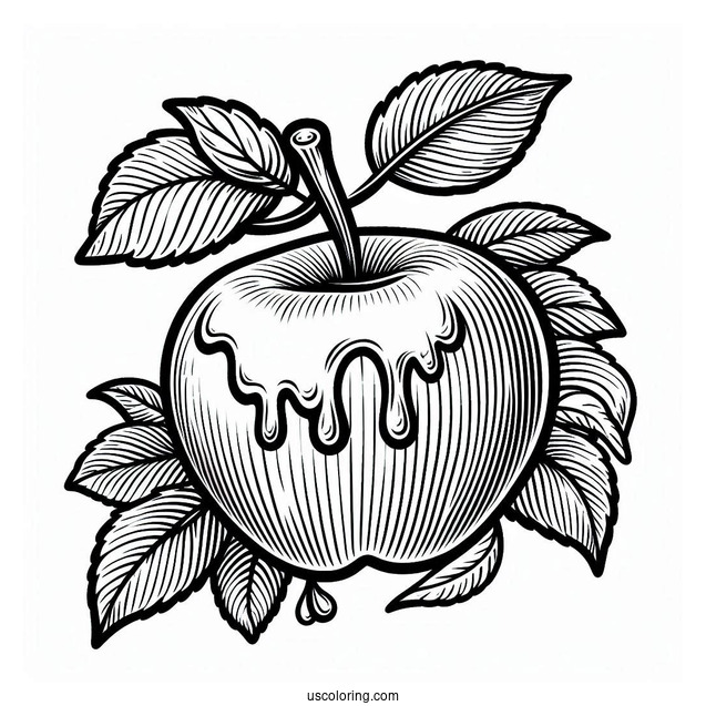 Delicious Honey Crisp Apple Coloring Page