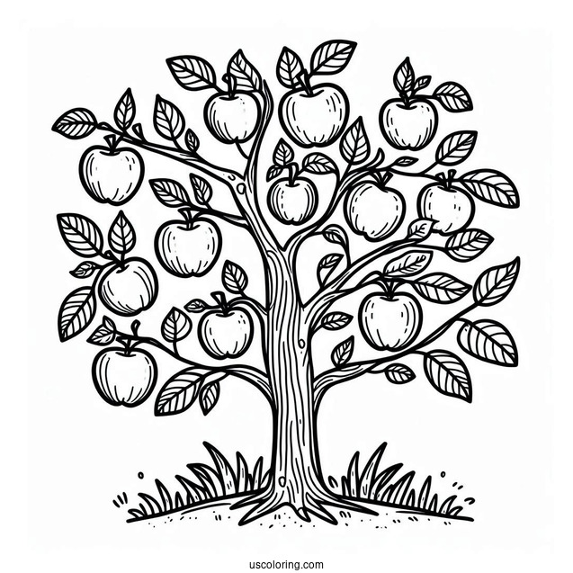 Outline Of Apple Trees For Kids