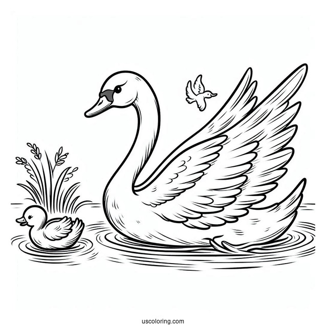 Swan Coloring Page Swimming Away From Ugly Duckling