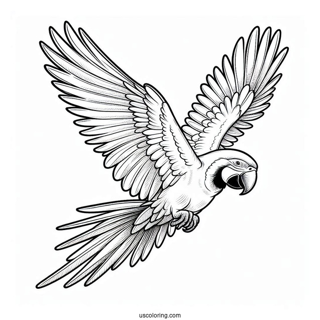 Flying Hyacinth Macaw Parrot