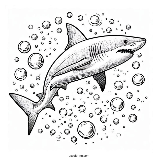 Great White Shark Coloring Page With Bubbles