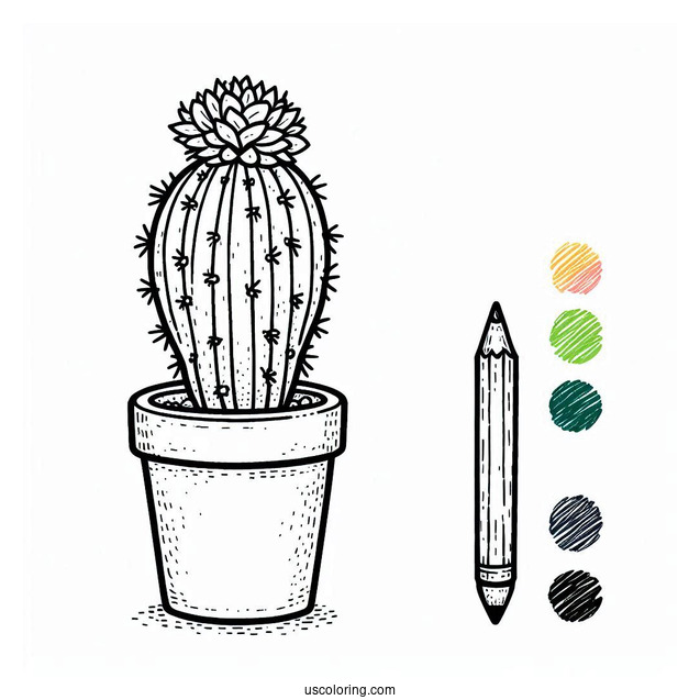 Little Cactus Plant In Pot To Color