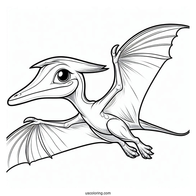 Pteranodon Dinosaur Coloring Page For Kids