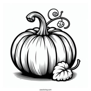 Various Pumpkin Coloring Page To Color