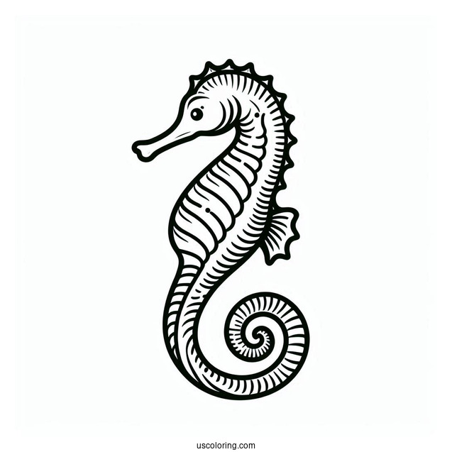 Easy Outline Of a Seahorse With Long Tail