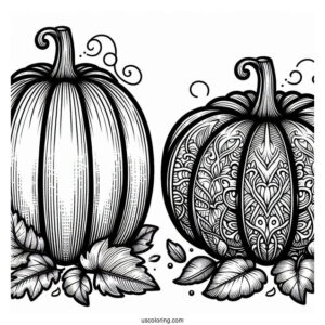 Two Different Sized Pumpkin Coloring Page