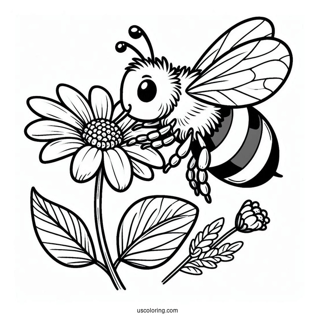 Bee Coloring Page Sucking Nectar From Flower For Kids