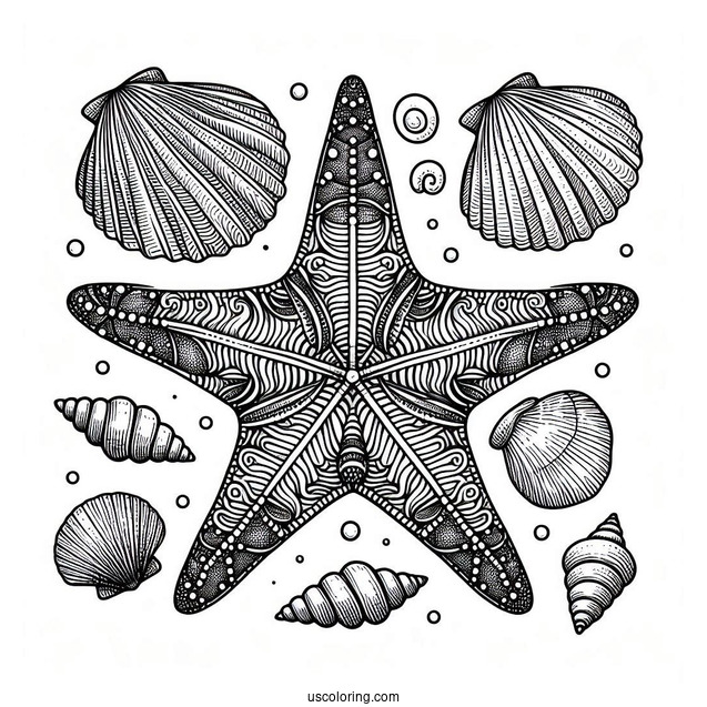 Textured Starfish Coloring Page With Seashells