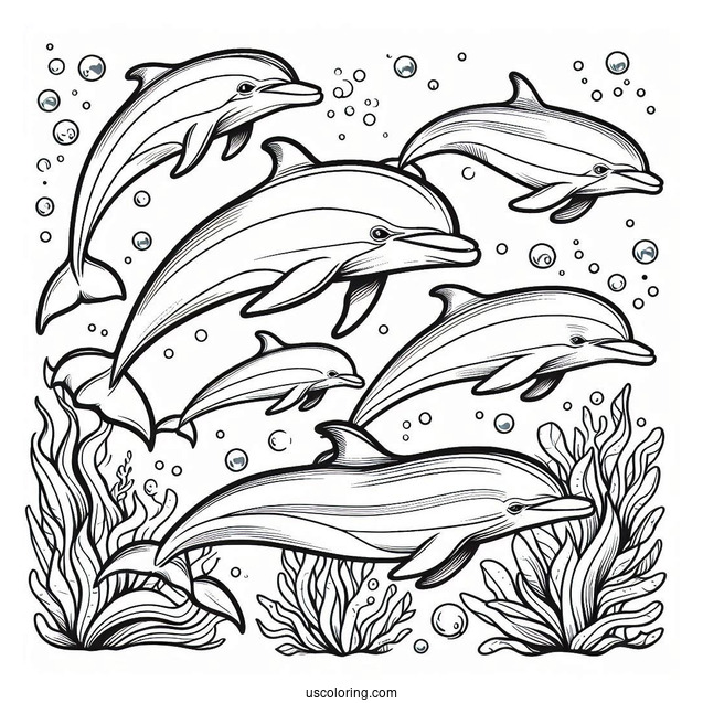 Pod Of Dolphins Underwater Coloring Page