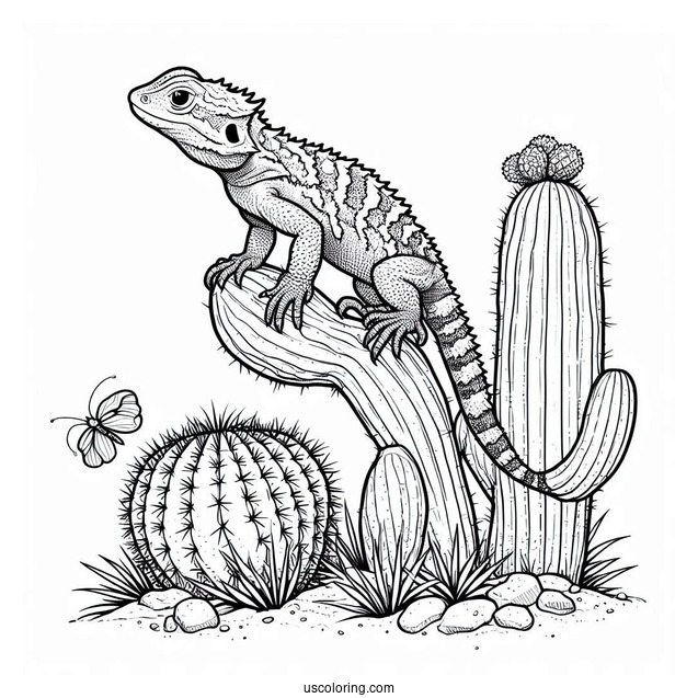 Texas horned lizard Coloring Page In Desert