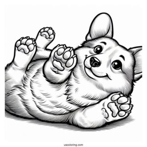 Corgi Coloring Page Lying On Its Back With Paws Up
