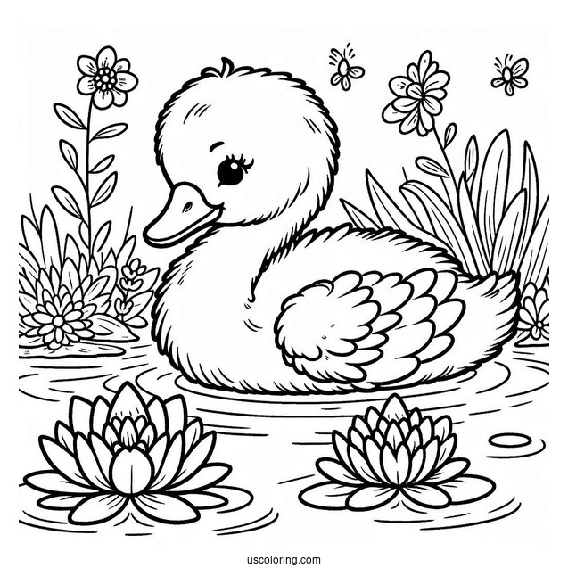 Baby Swan Coloring Page Emerging From Pond