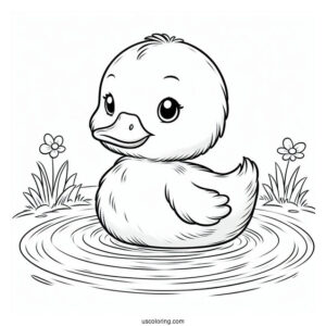 Adorable Duckling Floating In Pond