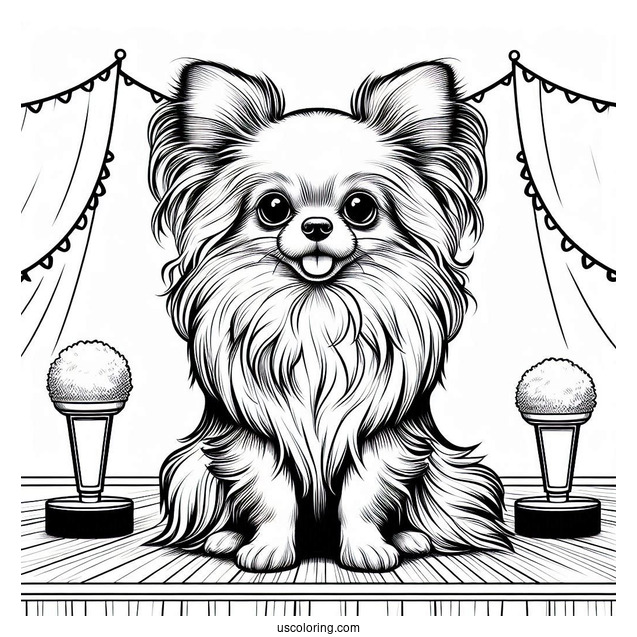 Puppy Long Hair Chihuahua Coloring Page On Stage