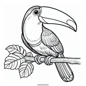 Toucan Parrot Coloring Sheet