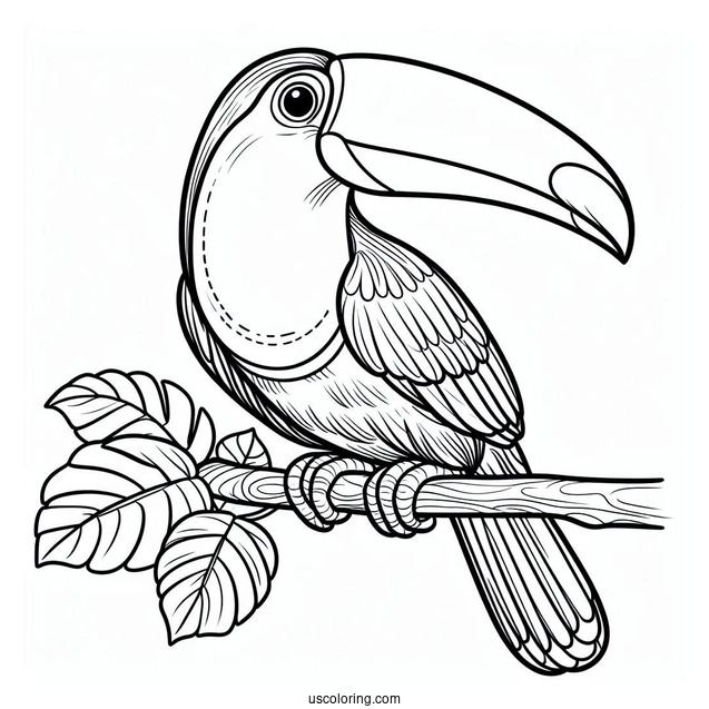 Toucan Parrot Coloring Sheet