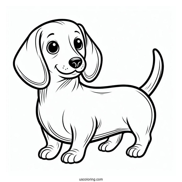 Easy Cute Dachshund Coloring Page For Preschoolers