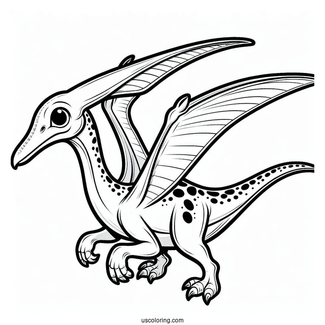 Pteranodon Dinosaur Coloring Page For Kids