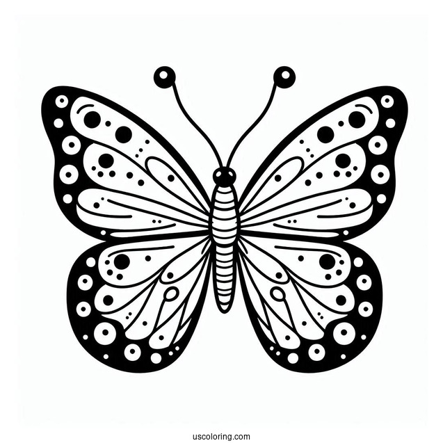 Easy Outline Of Butterfly With Spots On Wings