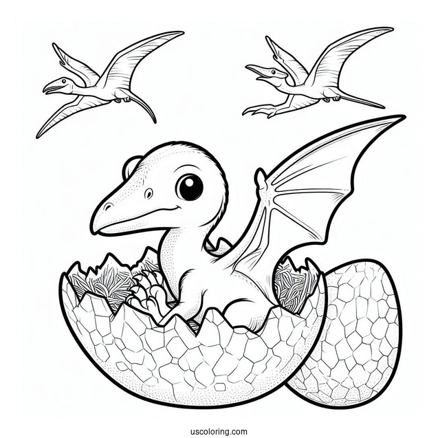 Pterodactyl Coloring Page Hatchling For Kids