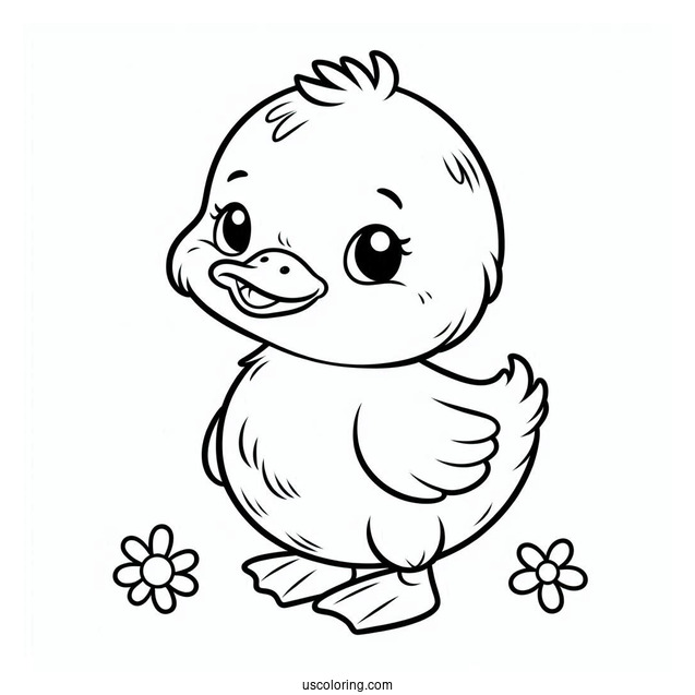 Cute Baby Duck To Color For Preschoolers