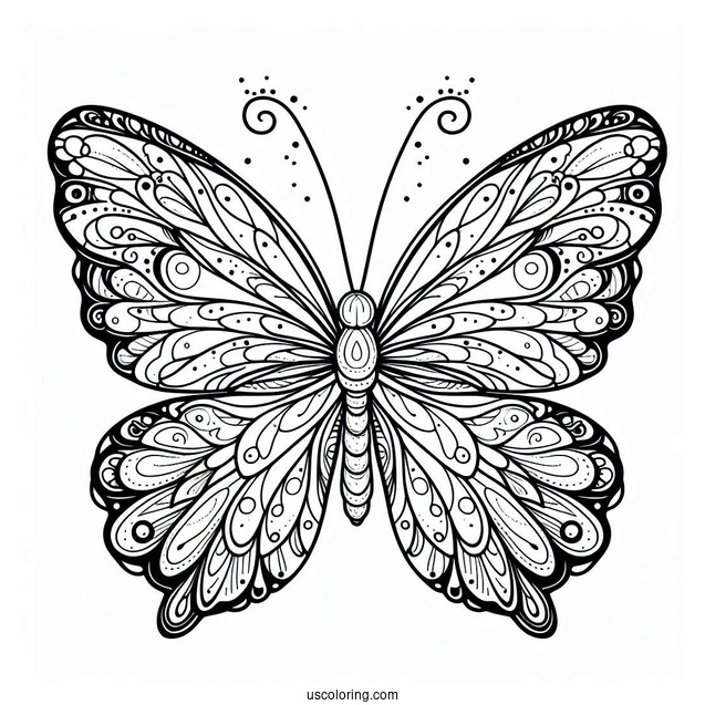 Pretty Butterfly With Detailed Wings To Color