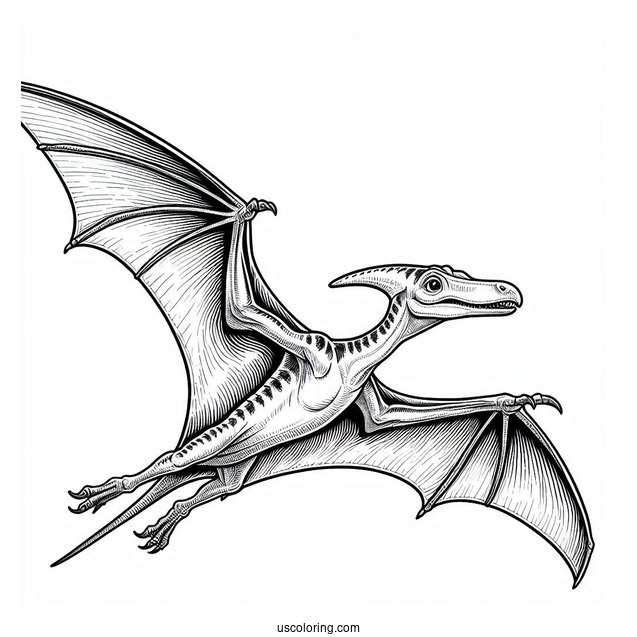Detailed Pterodactyl Coloring Page In The Air