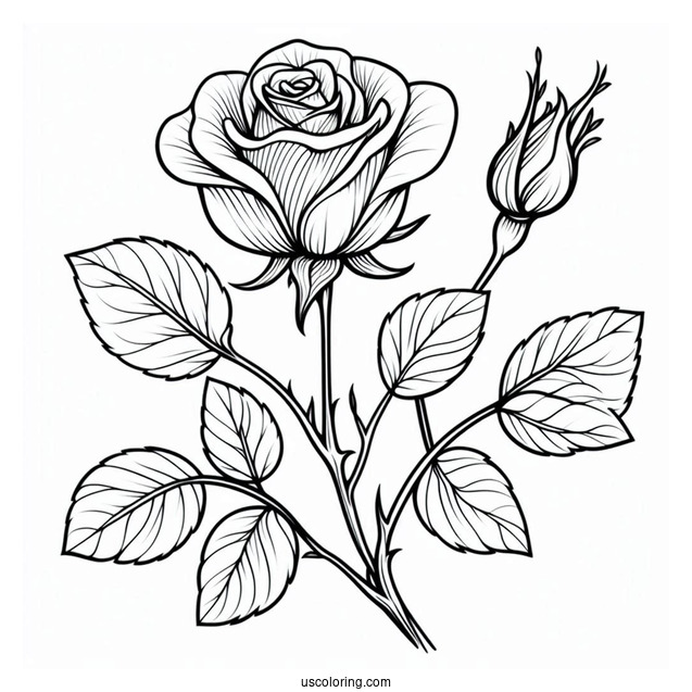 Rose Stem Coloring Sheet