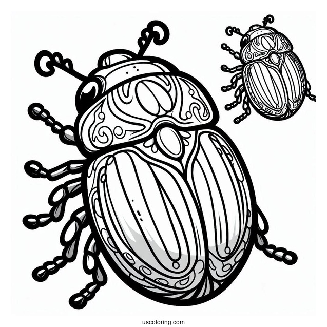 Cartoon Beetle Coloring Page Outline For Preschoolers