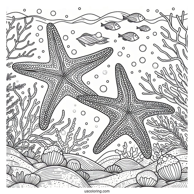 Two Starfish Coloring Page Crawling Along Coral Reef