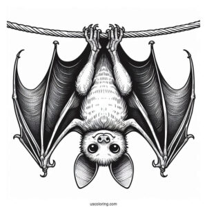 Upside Down Bat Coloring Page