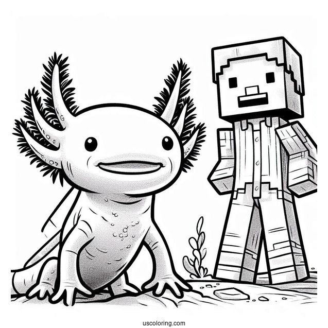 Axolotl Coloring Page Standing Beside Minecraft Steve