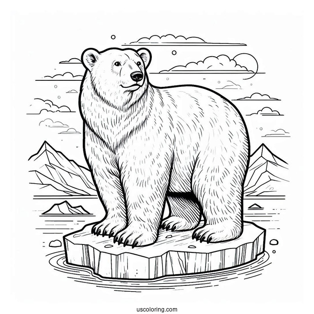 Adult Polar Bear On Piece Of Iceberg