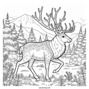 Detailed Reindeer Walking In The Wild To Color