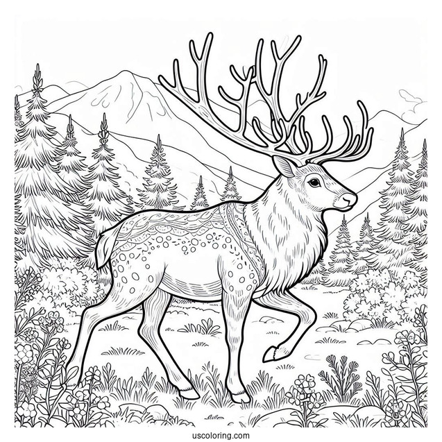 Detailed Reindeer Walking In The Wild To Color