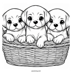 Three Puppies In Basket