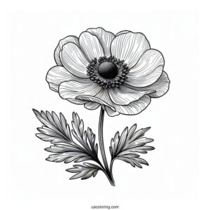 Flower Coloring Pages Of Realistic Anemone For Adults