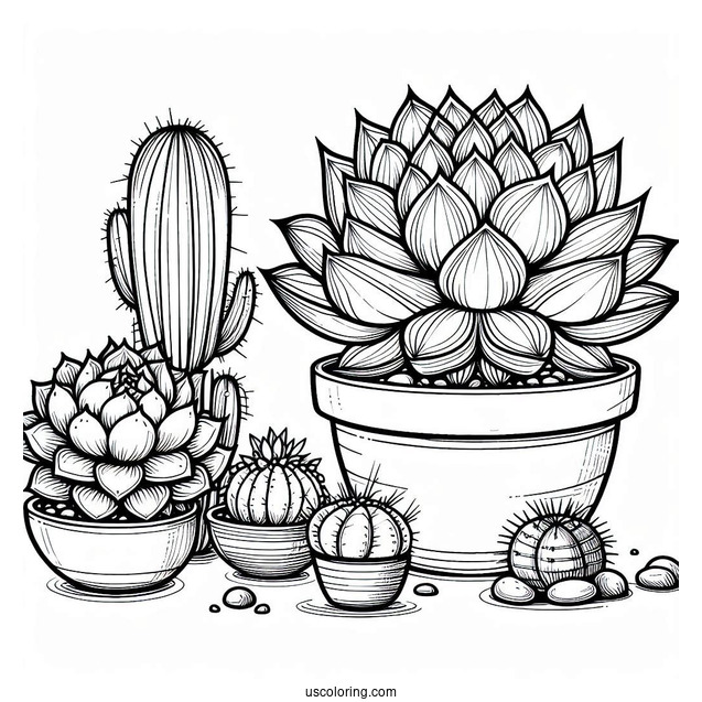 Modern Succulent Plant Coloring Sheet