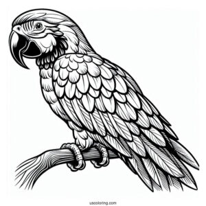 Macaw Parrot Coloring Sheet