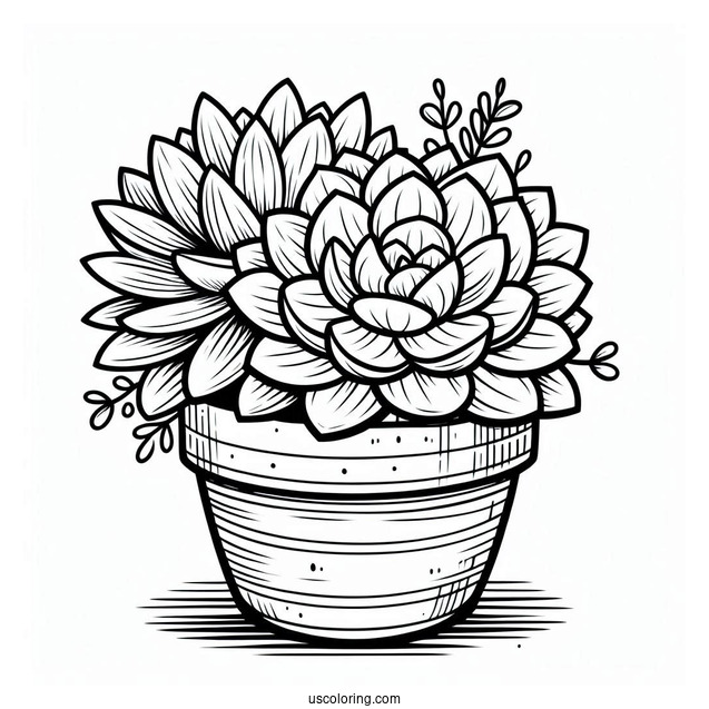 Simple Succulent Coloring Page In A Round Flower Pot For Kids