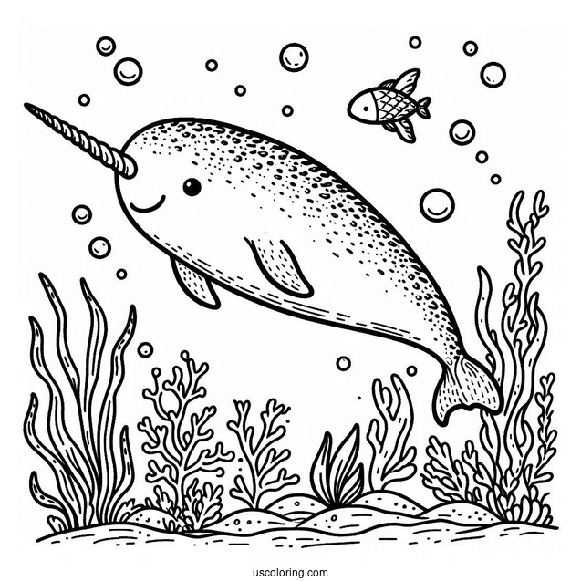 Narwhal Coloring Page Swimming Underwater With Aquatic Life