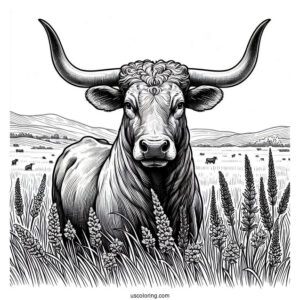 Texas Longhorn In The Field