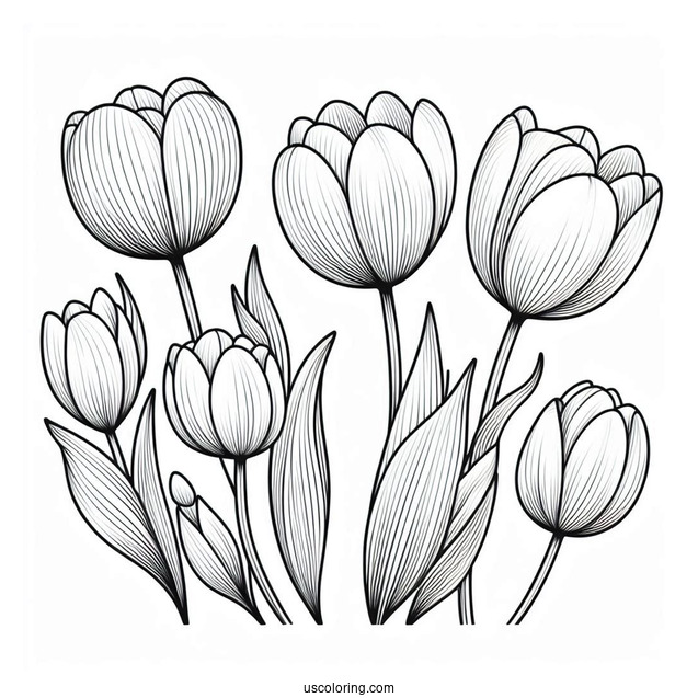 Flower Coloring Pages Of Four Blooming Tulips For Kids