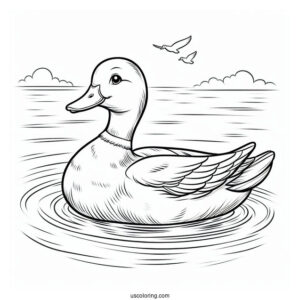 Mallard Floating In a Pond To Color
